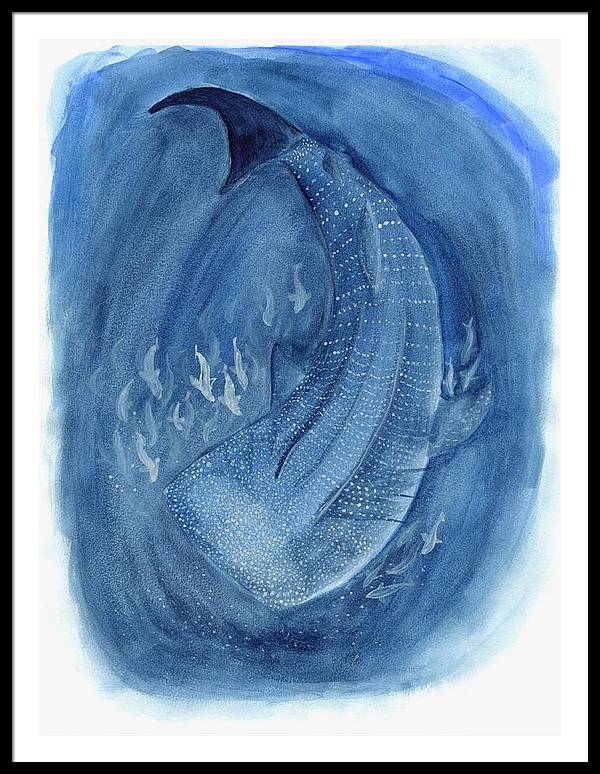 Whale Shark - Framed Print