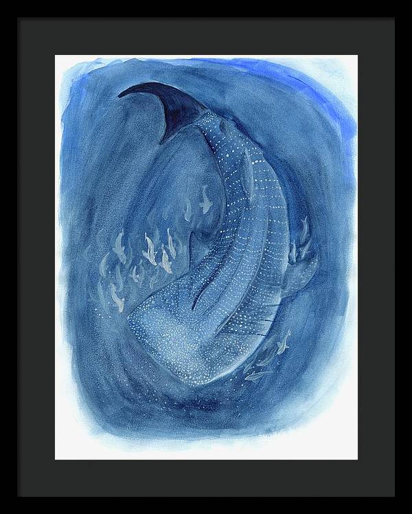 Whale Shark - Framed Print