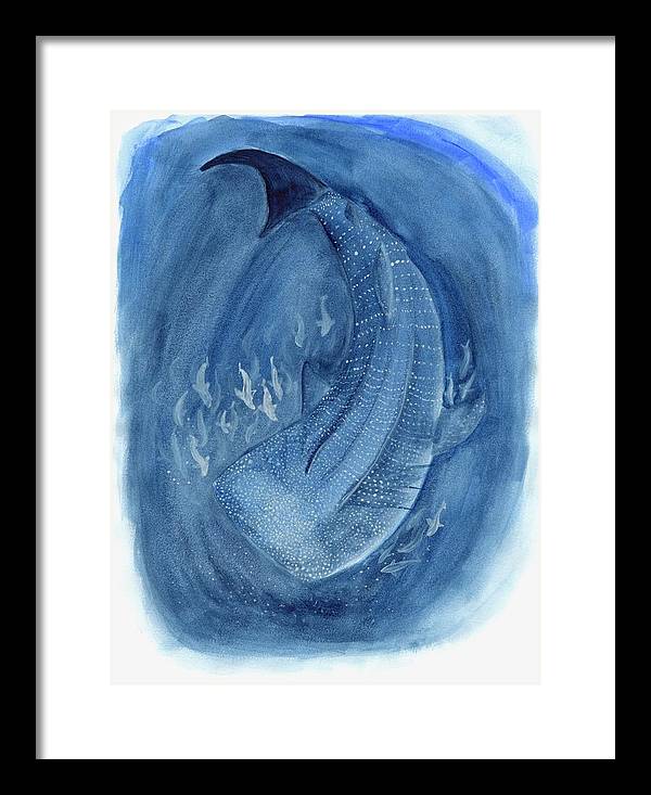 Whale Shark - Framed Print