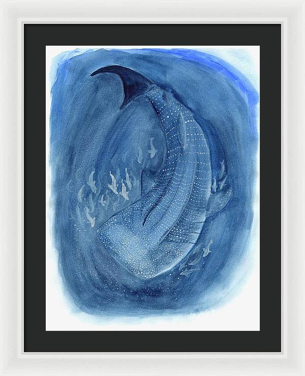 Whale Shark - Framed Print