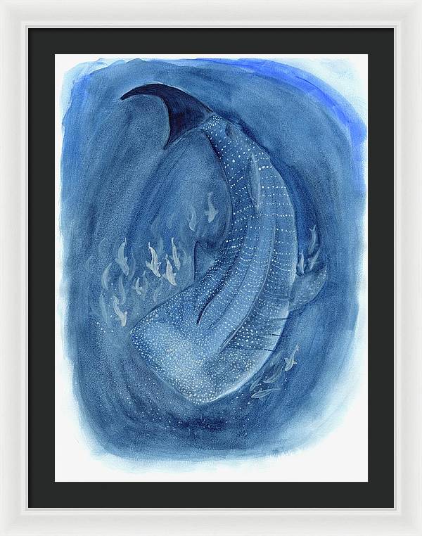 Whale Shark - Framed Print