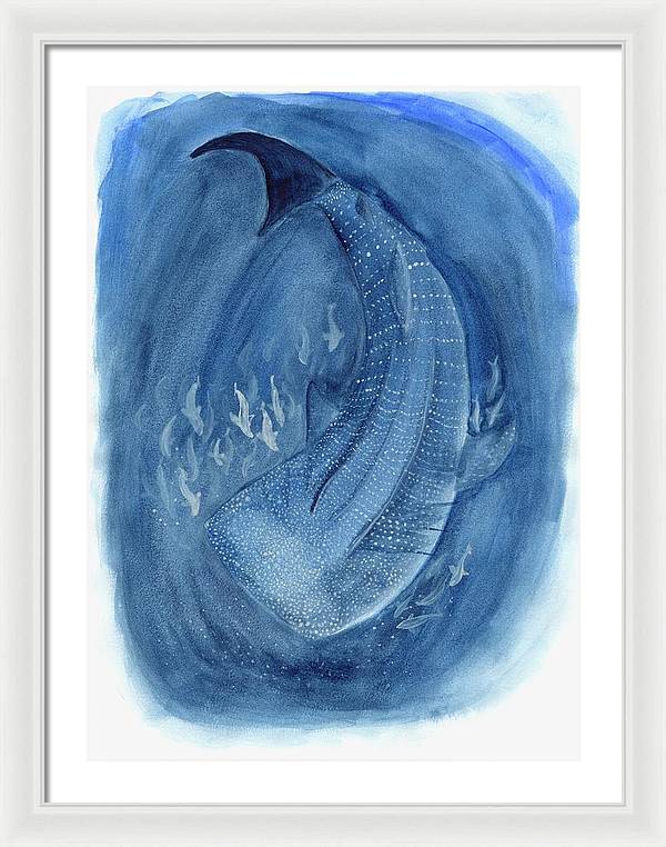 Whale Shark - Framed Print